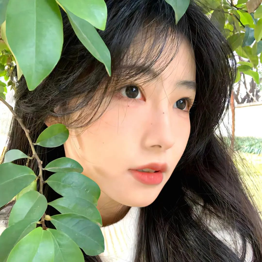 万里寻母